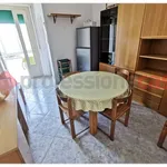 Rent 3 bedroom apartment of 70 m² in Livorno