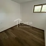 Ενοικίαση 4 υπνοδωμάτιο σπίτι από 308 m² σε Anavissos Municipal Unit