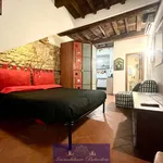 Rent 1 bedroom apartment of 35 m² in Firenze