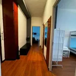 Rent 3 bedroom apartment of 60 m² in Bologna