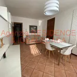 Rent 3 bedroom apartment of 50 m² in Padova