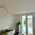 Pronajměte si 1 ložnic/e byt o rozloze 38 m² v Teplá