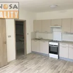 Rent 2 bedroom apartment of 458 m² in Ústí nad Labem