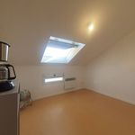 Appartement de 15 m² avec 1 chambre(s) en location à lyon