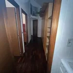 Rent 4 bedroom apartment of 100 m² in Bologna