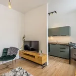 Rent 1 bedroom apartment of 31 m² in Chemnitz