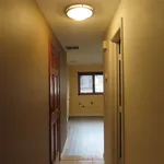 Rent 1 bedroom apartment in East Patchogue