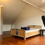 Rent a room of 120 m² in Den Haag