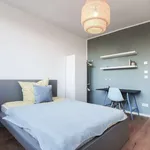 Rent a room in berlin