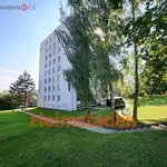 Rent 4 bedroom apartment of 68 m² in Trhový Štěpánov