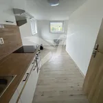 Rent 3 bedroom apartment of 50 m² in Starý Plzenec