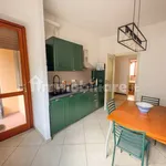 Rent 3 bedroom apartment of 81 m² in Turin