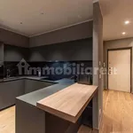 Rent 2 bedroom apartment of 85 m² in Turin