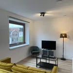 Rent 1 bedroom apartment of 50 m² in Groningen