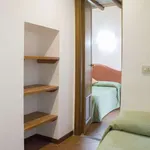 Rent 1 bedroom apartment of 25 m² in rome