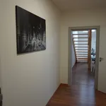 Pronajměte si 1 ložnic/e byt o rozloze 90 m² v Brno