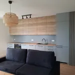 Rent 3 bedroom apartment of 60 m² in Szczecin