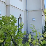 Rent 1 bedroom apartment of 35 m² in Stuttgart