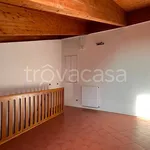 Rent 2 bedroom apartment of 50 m² in Bologna