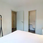 Huur 1 slaapkamer appartement van 45 m² in brussels