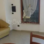 Rent 2 bedroom apartment of 60 m² in Frosinone