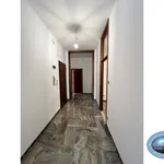 Rent 4 bedroom apartment of 117 m² in San Lazzaro di Savena