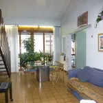 Rent a room in padua