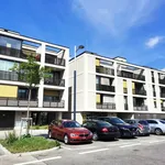 Rent 2 bedroom apartment of 57 m² in Wien