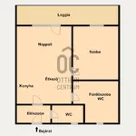 Rent 2 bedroom apartment of 45 m² in Debrecen