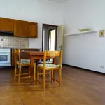 Rent 2 bedroom apartment of 60 m² in Alessandria