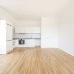 Rent 3 bedroom apartment of 78 m² in Dresden