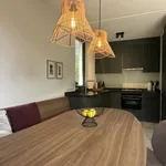 Rent 4 bedroom house of 100 m² in buitengebied Zuid