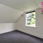 Rent 5 bedroom apartment in Dunedin