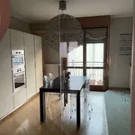 Rent 5 bedroom apartment of 154 m² in Monza