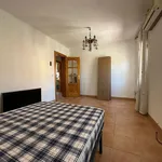 Alquilar 4 dormitorio apartamento en Granada