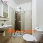 Rent 1 bedroom apartment of 28 m² in Trhový Štěpánov