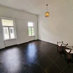 Rent 4 bedroom apartment of 136 m² in Budapest