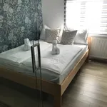 Rent 1 bedroom apartment in Prague