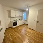 Rent 3 bedroom apartment of 69 m² in Vienna