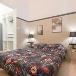 Rent 2 bedroom apartment of 42 m² in Marseille