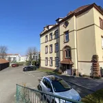 Rent 3 bedroom apartment of 59 m² in Wissembourg