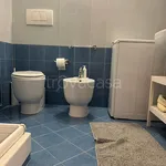 Rent 2 bedroom apartment of 50 m² in Torino