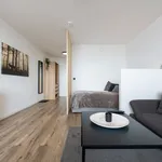 Rent 1 bedroom apartment of 30 m² in Nürnberg