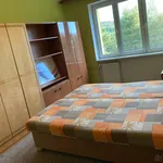 Rent 2 bedroom apartment in Sokolov