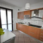 Rent 3 bedroom apartment of 70 m² in Novara