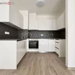 Rent 3 bedroom apartment of 136 m² in Brno