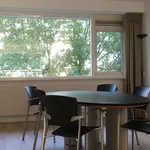 Rent 3 bedroom apartment of 132 m² in Amsterdam