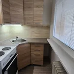 Rent 1 bedroom apartment in Most