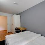 Rent 4 bedroom apartment in Stuttgart