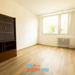 Rent 3 bedroom apartment of 70 m² in Prague